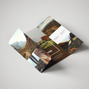 Show details for Folded Leaflets